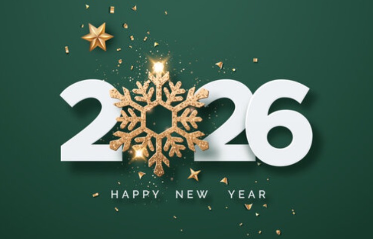 سال جدید میلادی