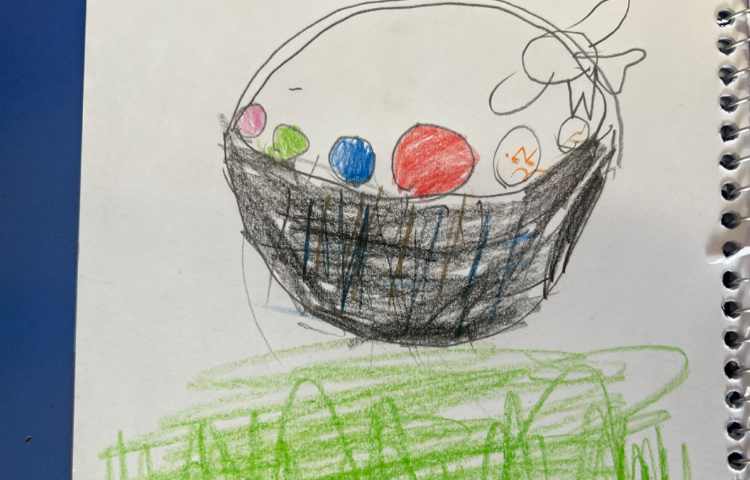 سبد تخم مرغ 1