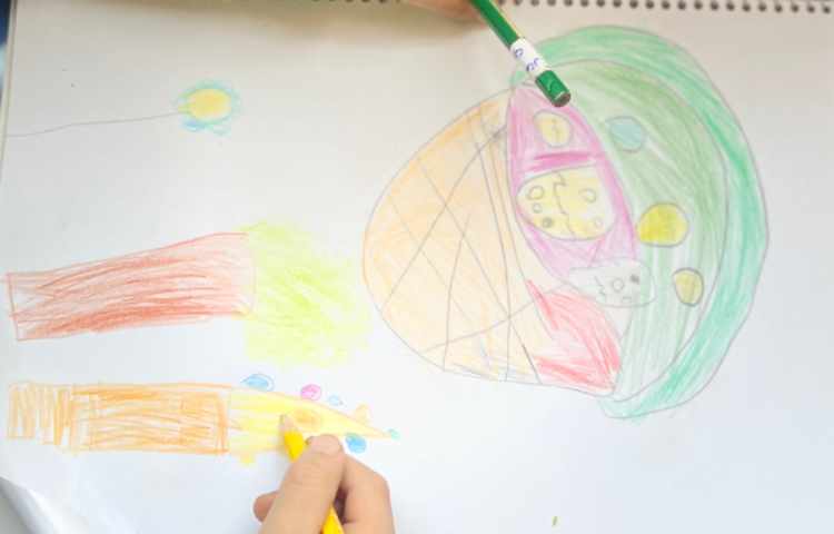 سبد تخم مرغ 4