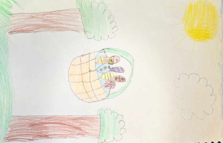 سبد تخم مرغ 5