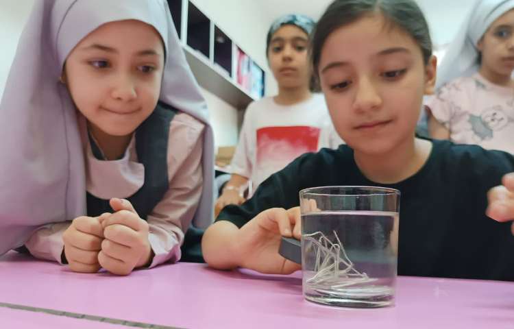 سرزمین جادویی 3