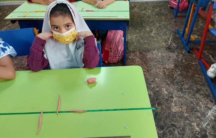 سرزمین دانش 15