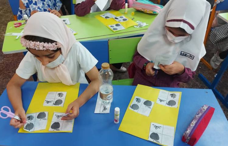 سرزمین دانش 31