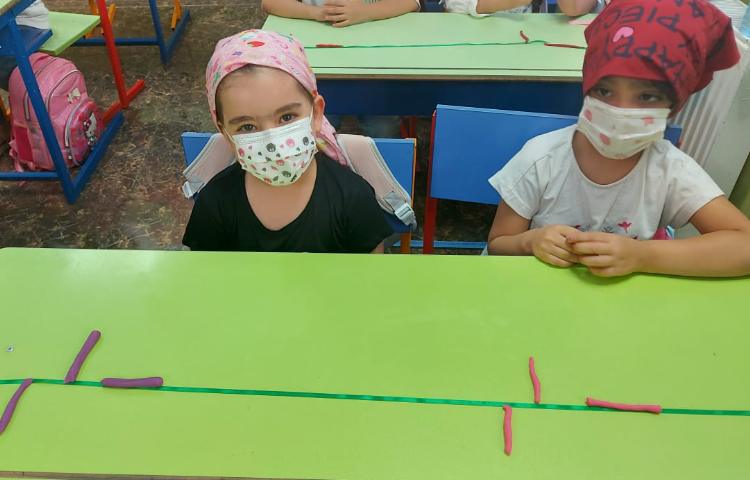 سرزمین دانش 8