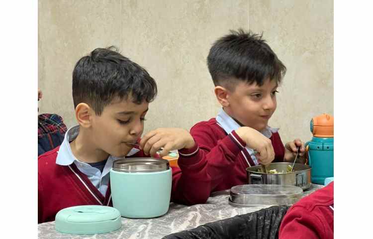 سرو نهار و میانوعده 11