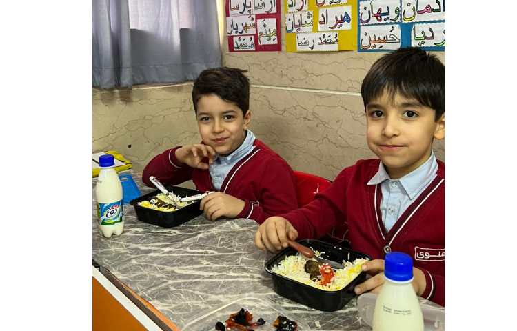 سرو نهار و میانوعده 13