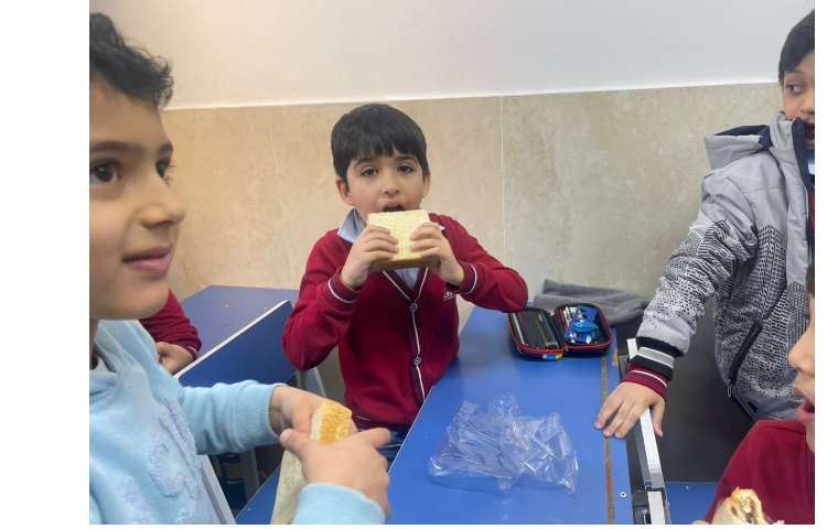 سرو نهار و میانوعده 14