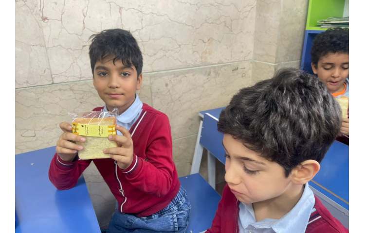 سرو نهار و میانوعده 15