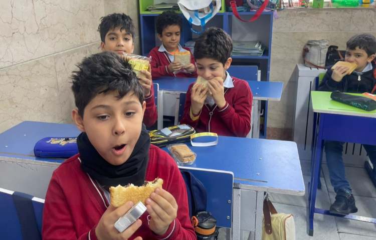 سرو نهار و میانوعده 16