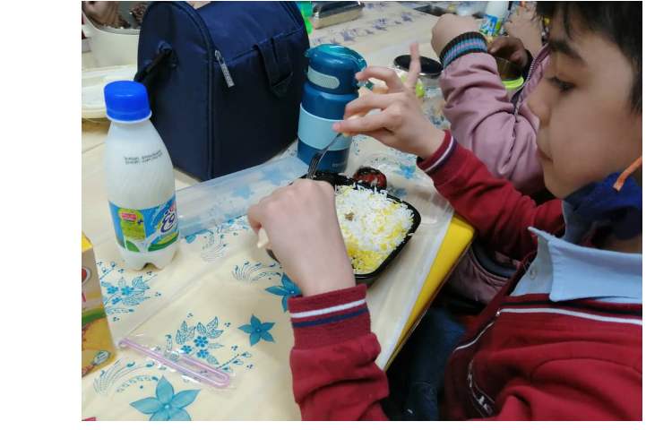 سرو نهار و میانوعده 7