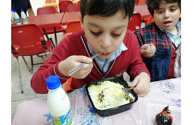 سرو نهار و میانوعده 9