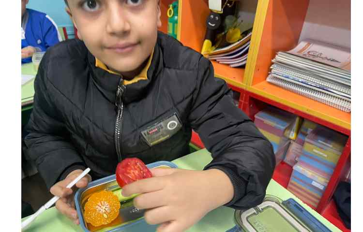 سرگذشت دانه،علوم 2