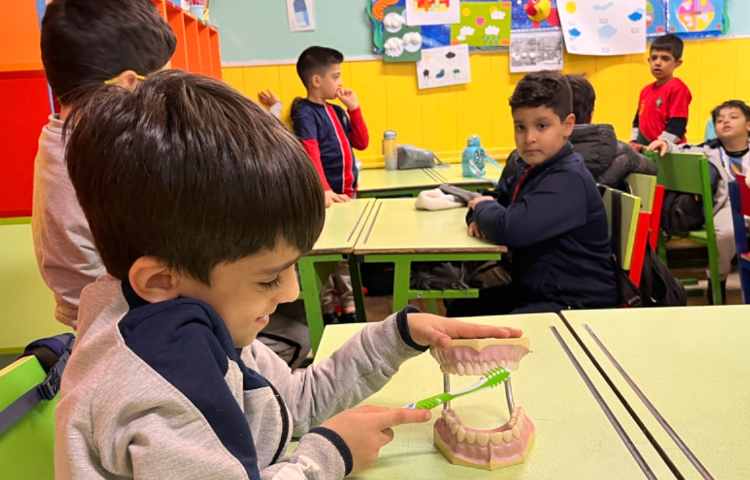 سلامت دهان و دندان 6