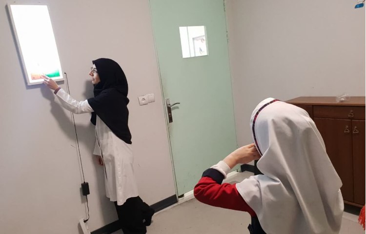 سنجش بینایی 5