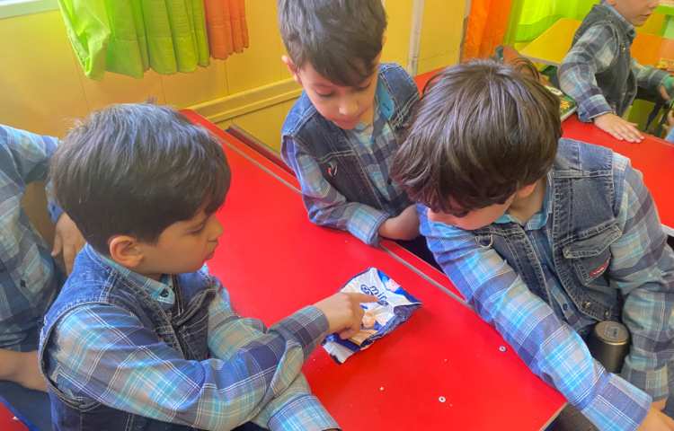 :سواد مالی، انواع بسته بندی ها 2