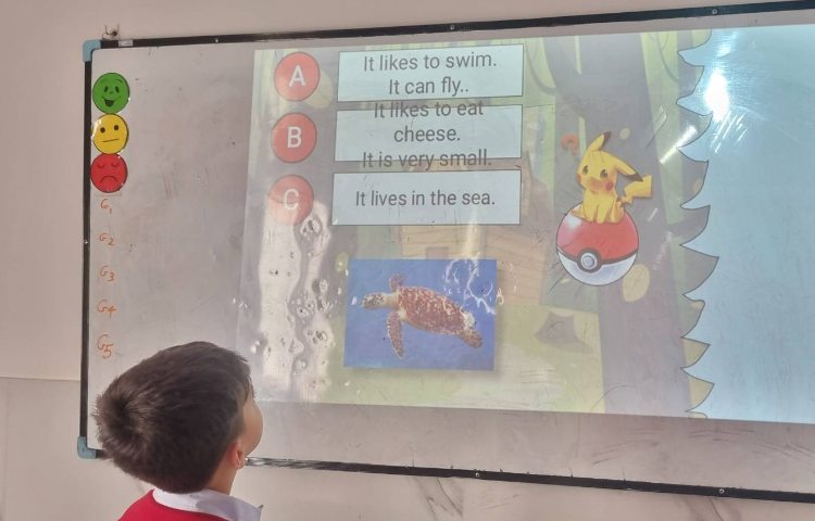 سوالات چند گزینه‌ای درمورد دسته‌بندی حیوانات-زنگ Science 3