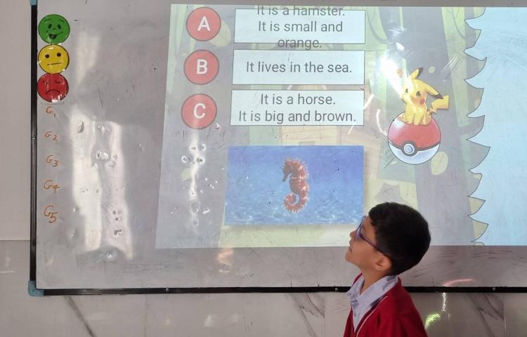 سوالات چند گزینه‌ای درمورد دسته‌بندی حیوانات-زنگ Science 6