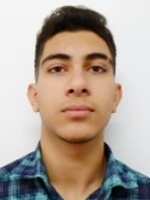 سیاوش قارنی