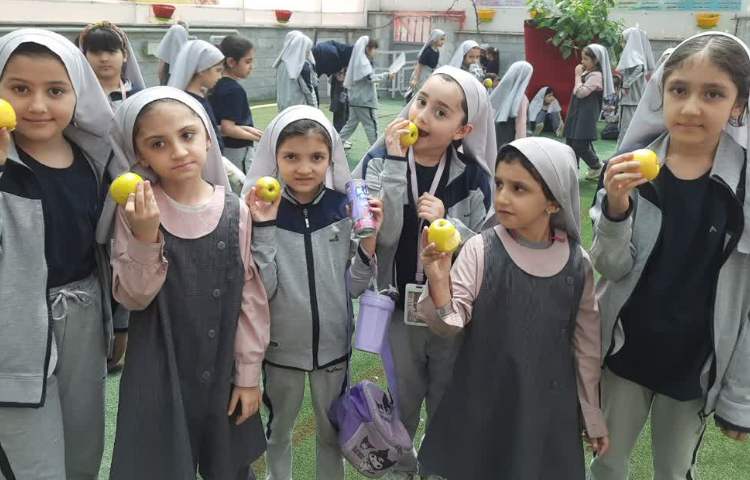 سیب خوشمزه 3