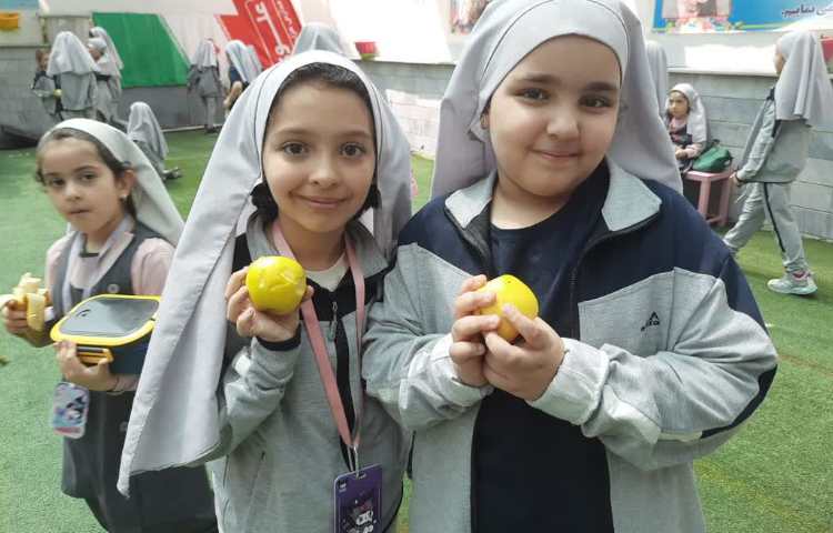 سیب خوشمزه 4