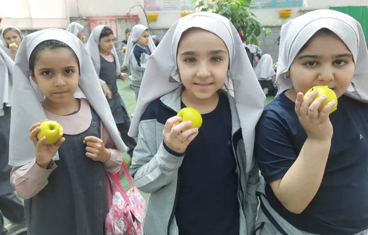 سیب خوشمزه 6