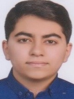 سید پارسا رفیعایی