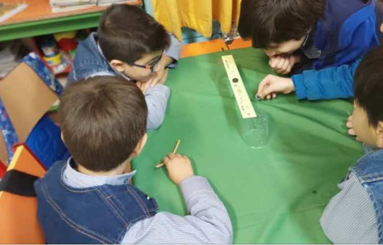 سیرک واشرها 3