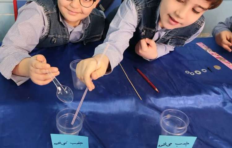 سیرک واشرها