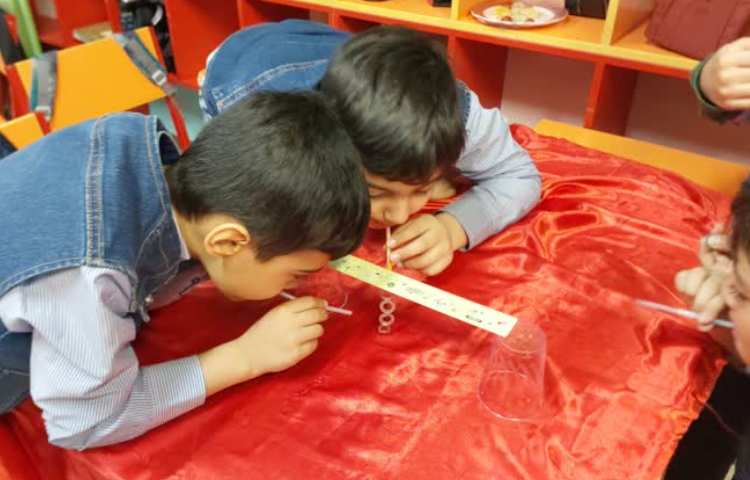 سیرک واشرها