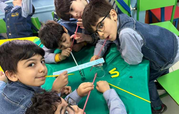 سیرک واشری 4