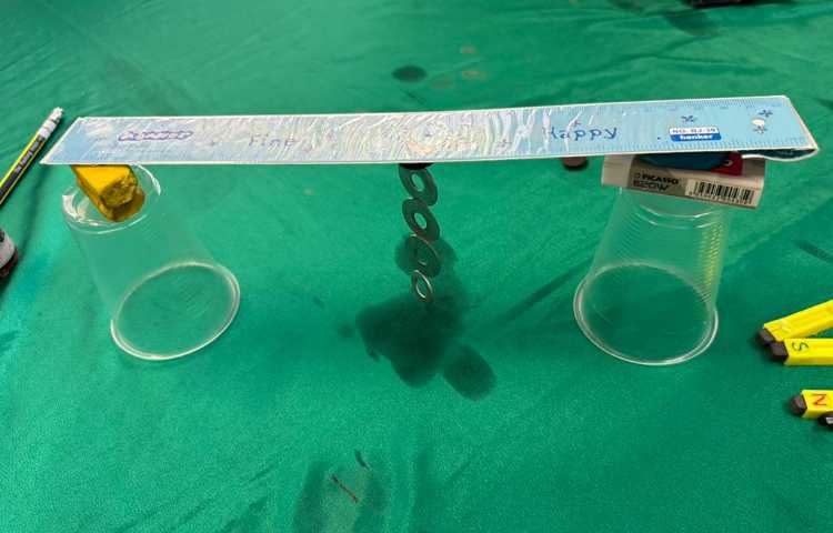 سیرک واشری 5