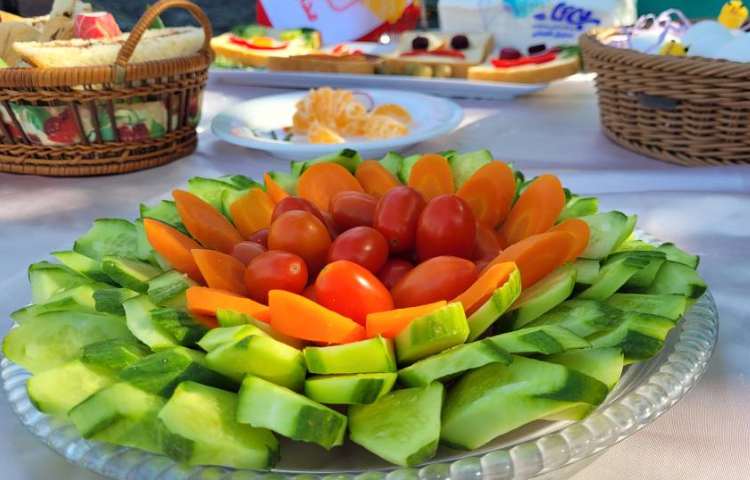 شادمانی، لبخند و بازی در اردوی هیجان انگیز روز کودک 13