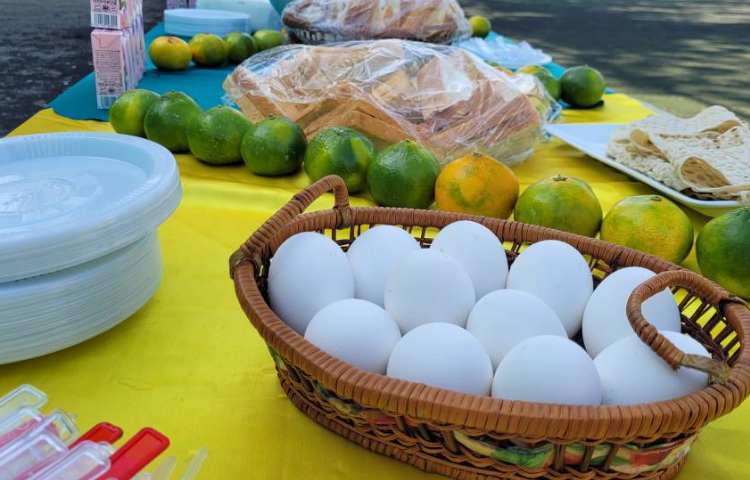 شادمانی، لبخند و بازی در اردوی هیجان انگیز روز کودک 16