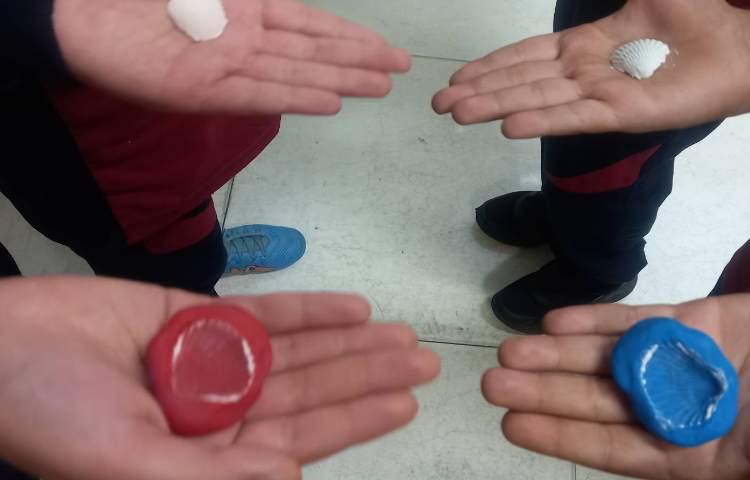 شبیه‌سازی تشکیل فسیل 1