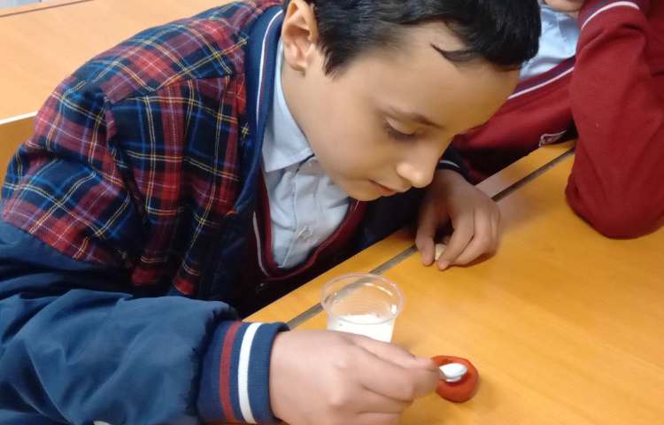 شبیه‌سازی تشکیل فسیل 4