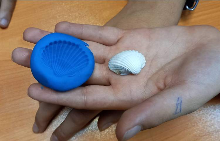 شبیه‌سازی تشکیل فسیل 5