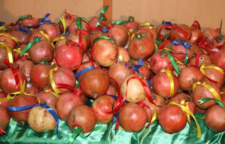 شب یلدا، جشن مدرسه پسرانه علوی شرق 4