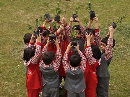 آغاز اجرای طرح «هر مدرسه یک نهالستان»