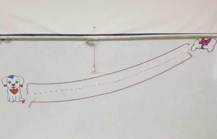 شروع تدریس pencil control و تدریسin the middle of lines 3