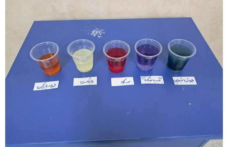 شروع هفته ی ملی علوم و انجام فعالیتها در کلاسها 39