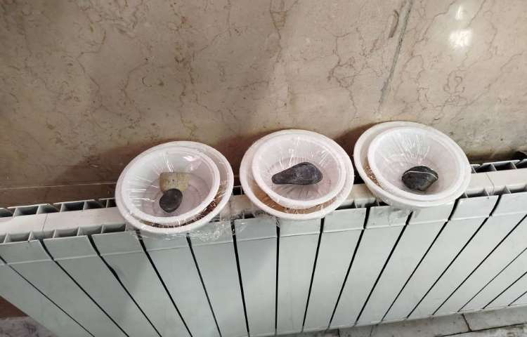 شروع هفته ی ملی علوم و انجام فعالیتها در کلاسها 95