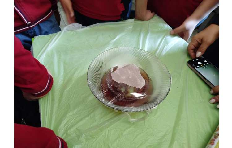 شروع هفته ی ملی علوم و انجام فعالیتها در کلاسها 99