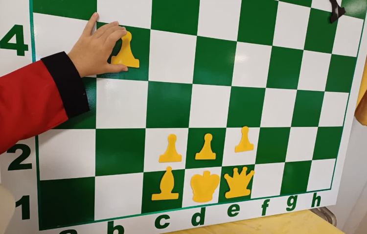 شطرنج 5