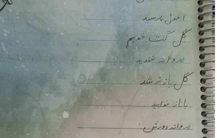 شعر پروانه از گل 5