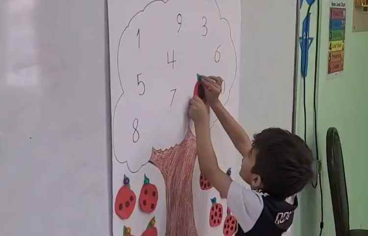 شمردن و آموزش مفهوم اعداد 1 تا 10