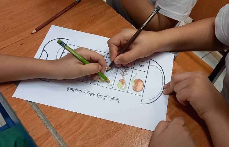 شناخت اجزای گیاهان تک لپه‌ای و دو لپه‌ای 1