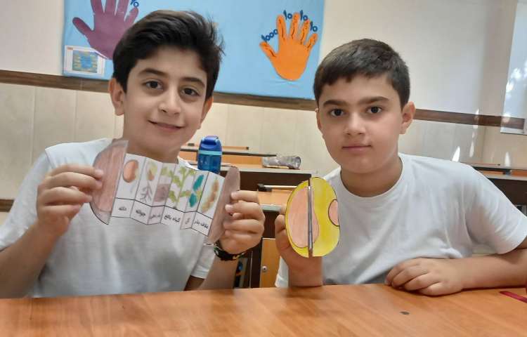 شناخت اجزای گیاهان تک لپه‌ای و دو لپه‌ای 8