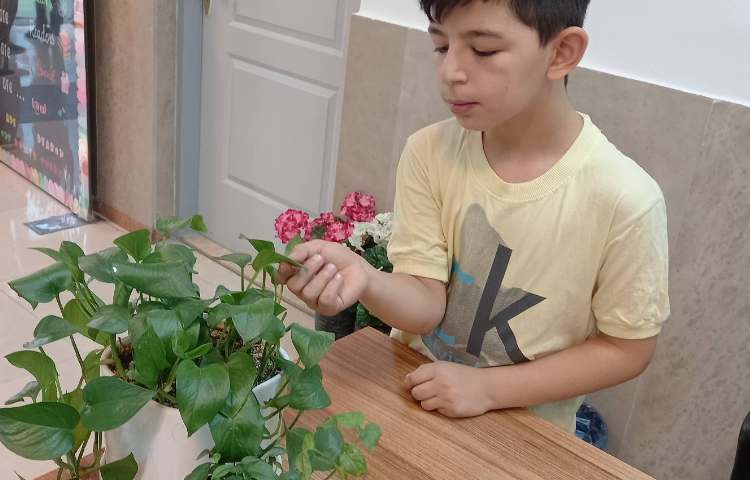 شناخت اجزای گیاهان تک لپه‌ای و دو لپه‌ای 9