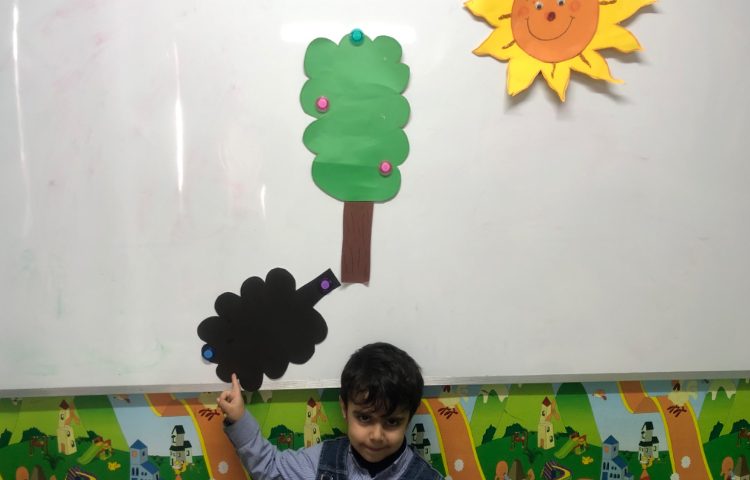 شناخت سایه 1