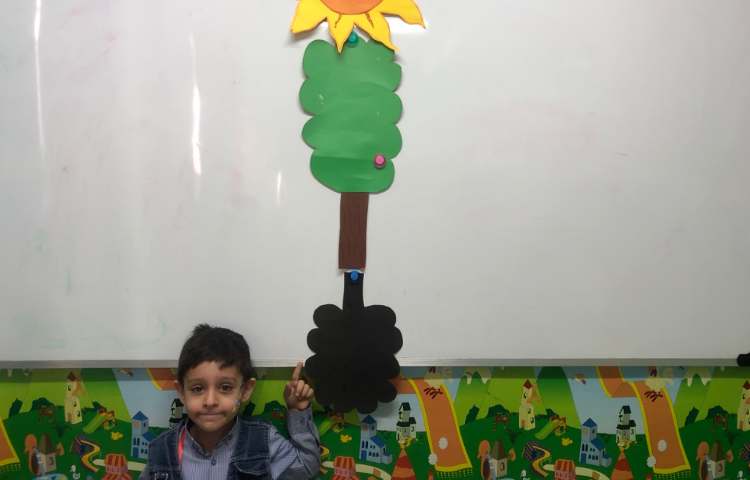 شناخت سایه 2